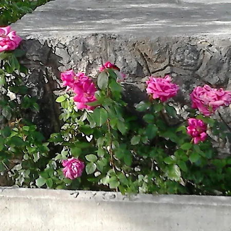 With Parking Space Maslenica, Novigrad - 11089 アパート